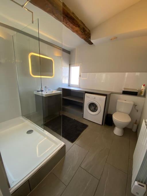 Appartement Le Jaffa Vue Sur La Cite à Carcassonne Extérieur photo
